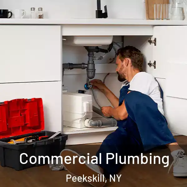  Commercial Plumbing Peekskill, NY